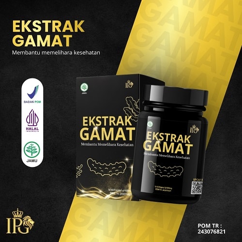 Ekstrak Gamat